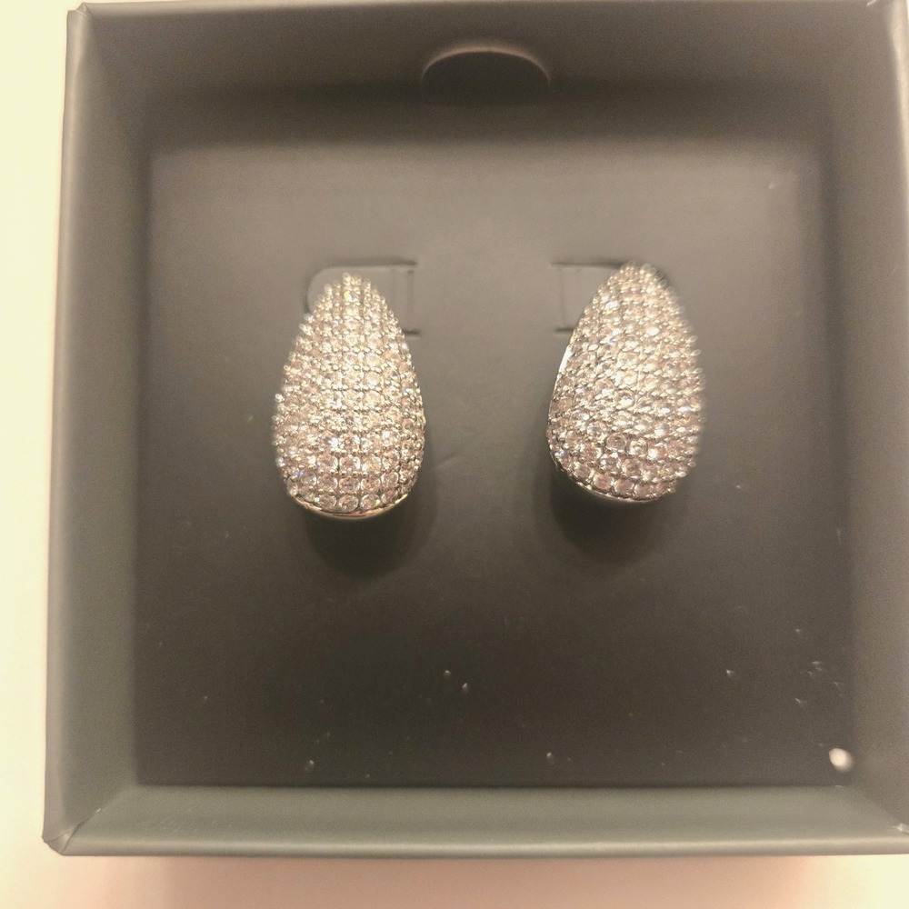 Jewels by Sunaina Sparkly Teardrop‎ Pierced Ear Earrings